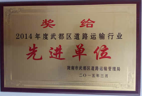 2014年武都區(qū)道路運輸行業(yè)先進單位